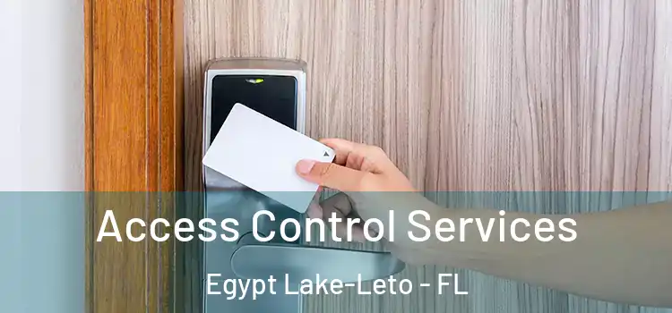 Access Control Services Egypt Lake-Leto - FL