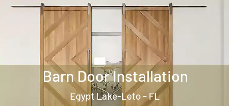 Barn Door Installation Egypt Lake-Leto - FL