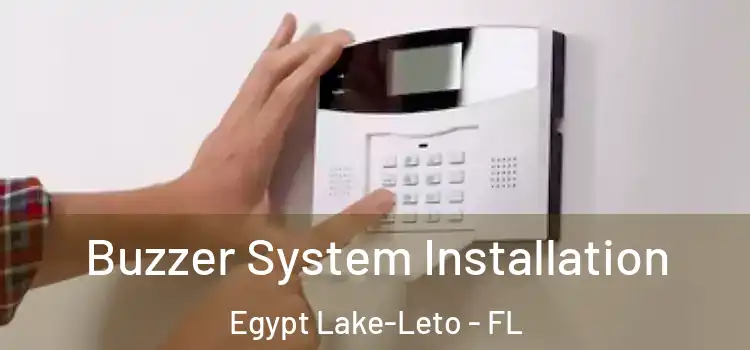 Buzzer System Installation Egypt Lake-Leto - FL