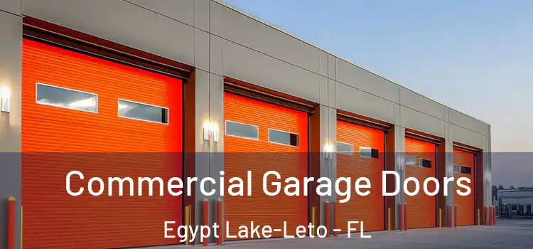  Commercial Garage Doors Egypt Lake-Leto - FL