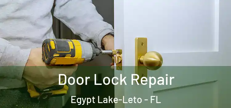  Door Lock Repair Egypt Lake-Leto - FL