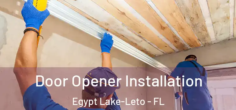 Door Opener Installation Egypt Lake-Leto - FL