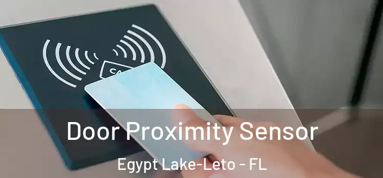 Door Proximity Sensor Egypt Lake-Leto - FL