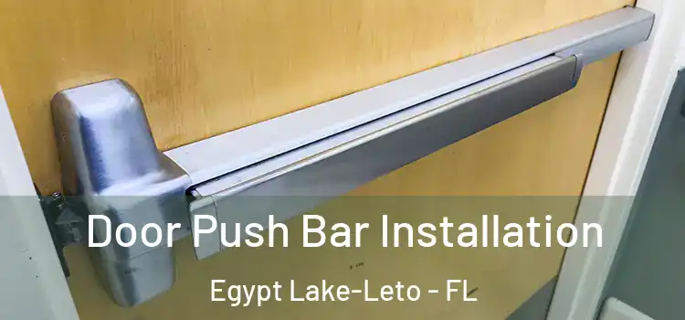 Door Push Bar Installation Egypt Lake-Leto - FL