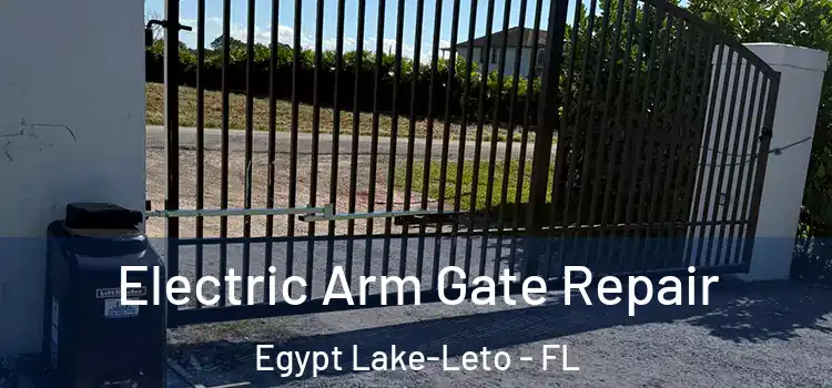  Electric Arm Gate Repair Egypt Lake-Leto - FL