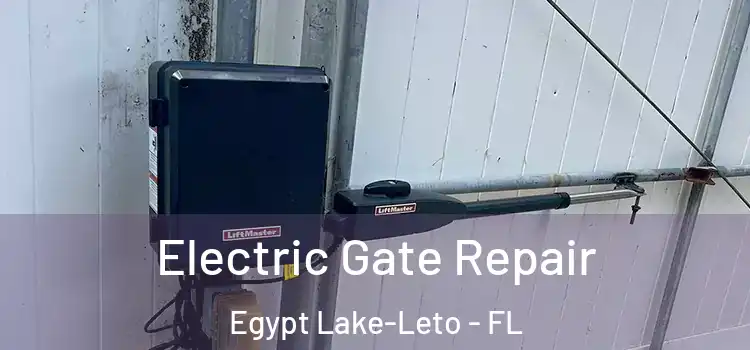 Electric Gate Repair Egypt Lake-Leto - FL