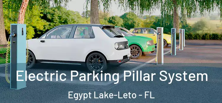  Electric Parking Pillar System Egypt Lake-Leto - FL