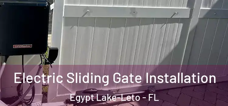 Electric Sliding Gate Installation Egypt Lake-Leto - FL
