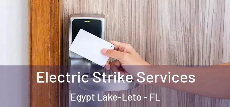 Electric Strike Services Egypt Lake-Leto - FL
