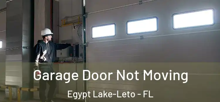 Garage Door Not Moving Egypt Lake-Leto - FL