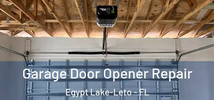  Garage Door Opener Repair Egypt Lake-Leto - FL