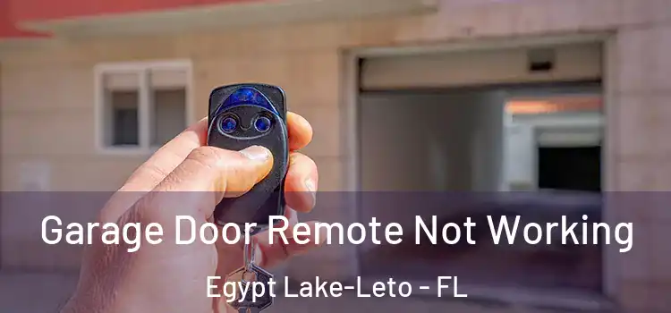  Garage Door Remote Not Working Egypt Lake-Leto - FL