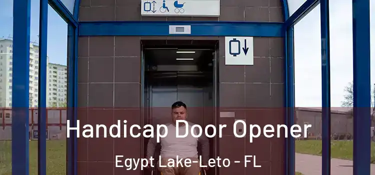  Handicap Door Opener Egypt Lake-Leto - FL