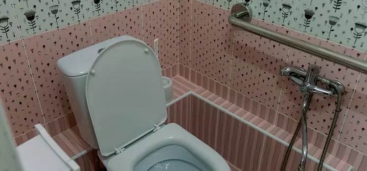 Meeting Diverse Needs With Accessible Restroom Solutions in Egypt Lake-Leto, FL