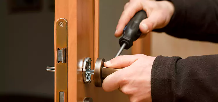 Rekey Car Locks Egypt Lake-Leto