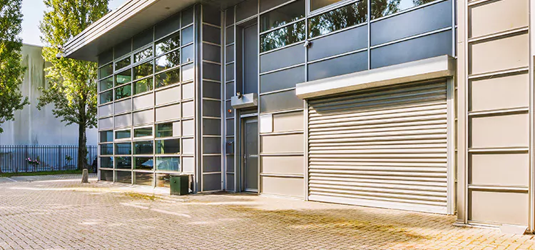 Electric Roller Garage Doors Egypt Lake-Leto