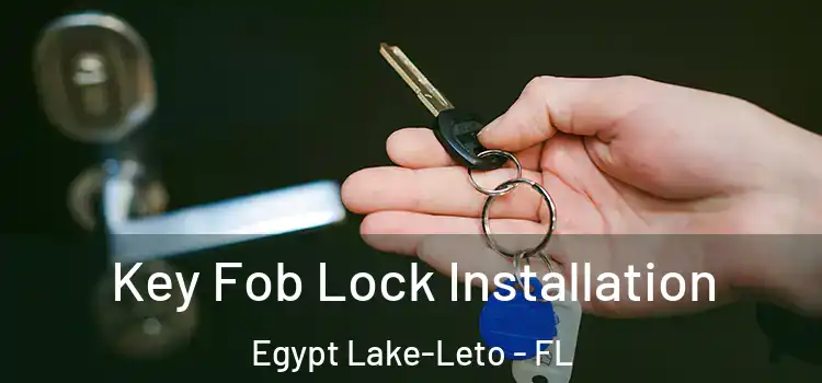 Key Fob Lock Installation Egypt Lake-Leto - FL