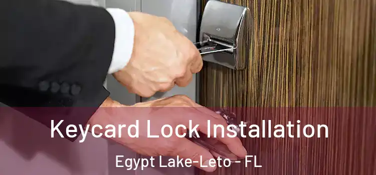 Keycard Lock Installation Egypt Lake-Leto - FL