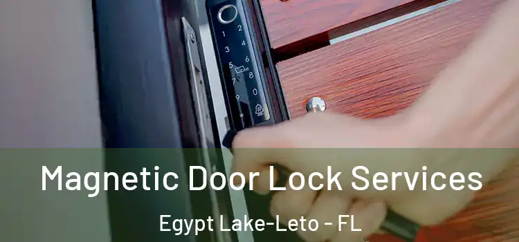 Magnetic Door Lock Services Egypt Lake-Leto - FL