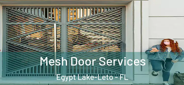 Mesh Door Services Egypt Lake-Leto - FL