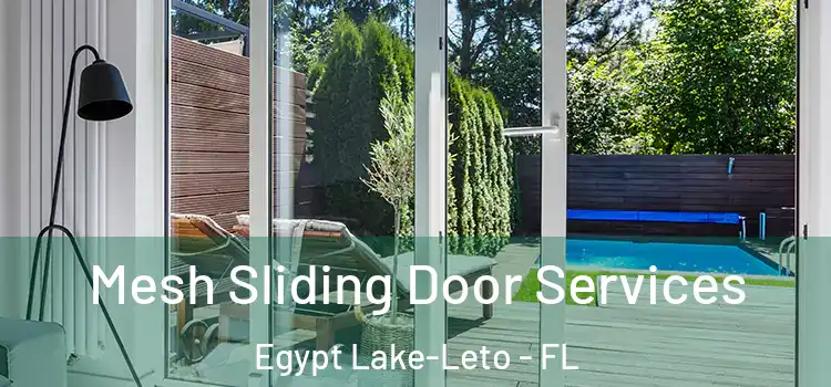 Mesh Sliding Door Services Egypt Lake-Leto - FL