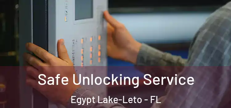 Safe Unlocking Service Egypt Lake-Leto - FL