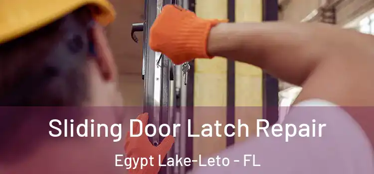  Sliding Door Latch Repair Egypt Lake-Leto - FL