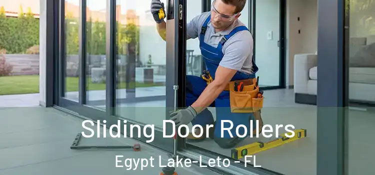 Sliding Door Rollers Egypt Lake-Leto - FL