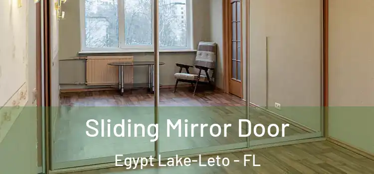  Sliding Mirror Door Egypt Lake-Leto - FL