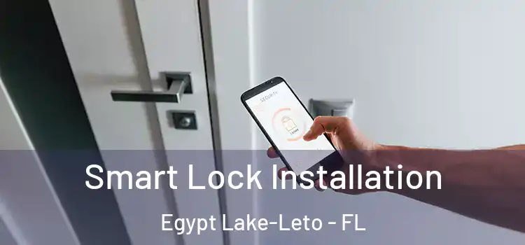 Smart Lock Installation Egypt Lake-Leto - FL