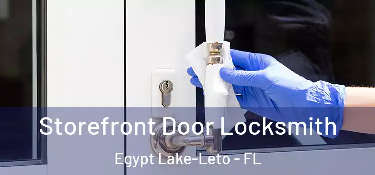 Storefront Door Locksmith Egypt Lake-Leto - FL